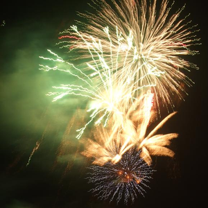 又爽又黄的动漫
