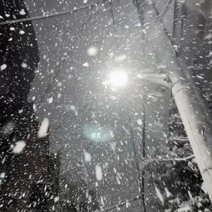 又爽又黄的动漫
